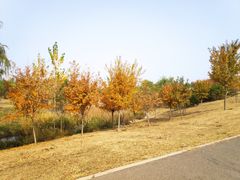 -马家湾湿地公园