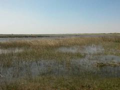 -亿利库布其七星湖沙漠生态旅游区