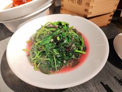 -小厨娘金榜题名(夫子庙秦淮河店)