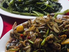 -蛇口康乐快餐鱼仔档(翠苑小区店)