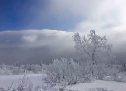 -大秃顶子山