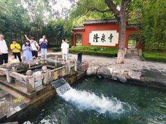 -百脉泉景区