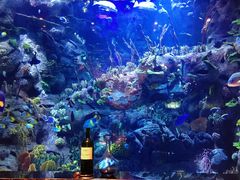 -迪拜帆船酒店海底餐厅