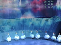 -武汉杂技厅