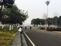 -南京奥林匹克体育中心-体育馆