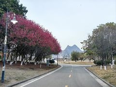 -钟山水墨田园