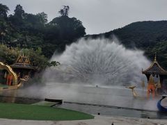 -西双版纳原始森林公园