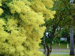 -厦门国家会计学院