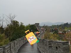 -黄贤森林公园
