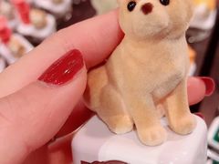 -小樽八音盒堂