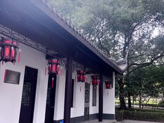 -上海佘山国家森林公园天马山园