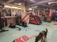 -KingBull私教健身&格斗订制(龙井商业中心店)
