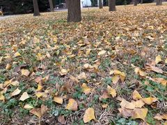 -朝阳公园体育中心