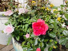 -敏珠拉姆藏餐·南京厨房(富春江东街店)