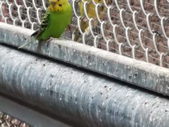 -正佳雨林生态植物园