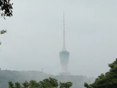 -梧桐山风景名胜区