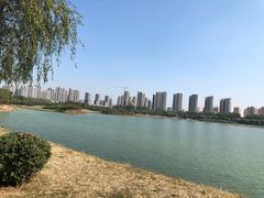 -丁香湖公园