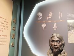 -广西壮族自治区博物馆