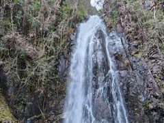 -姑婆山旅游区