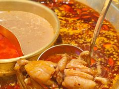 -哥老官重庆美蛙鱼头(西湖银泰十一哥店)