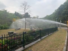 -火炉山森林公园