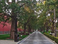 -北京市劳动人民文化宫(太庙)