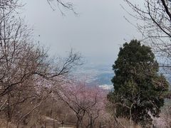 -香山公园