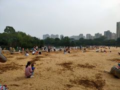 -青枫公园