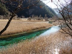 -九寨沟-树正沟