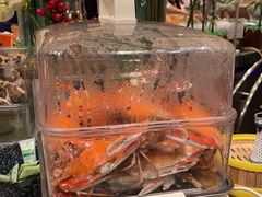 -北京希尔顿逸林酒店-逸轩西餐厅-自助餐厅