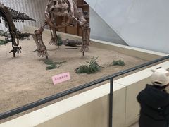 -天津自然博物馆
