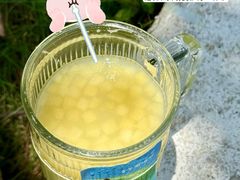 -星满杯TEAFUL(罗湖东门店)