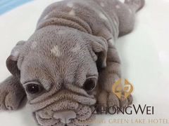 小奶狗-翠湖六号全日制西餐厅(翠湖宾馆店)