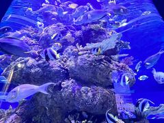 -成都浩海立方海洋公园