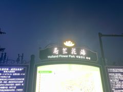 -荷兰花海