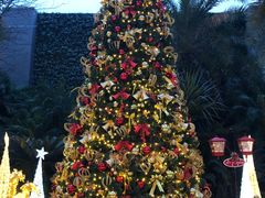 -广州富力丽思卡尔顿酒店