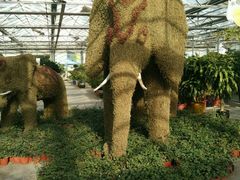 -天源吉布世温泉水乐园