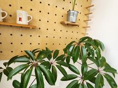 -DEEP COFFEE(瑞光烘焙工厂店)