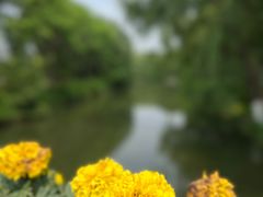 -昆山城市生态森林公园