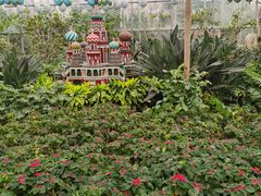 -南宫五洲植物乐园