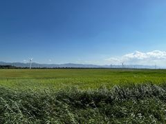 -野鸭湖国家湿地公园