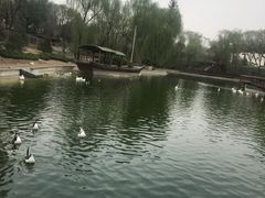 -太原动物园