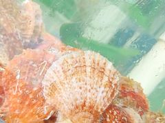 -四海鲜渔家菜(黄金海岸店)