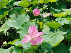-郭守敬纪念馆