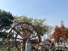 -顺峰山公园