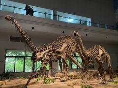 -自贡恐龙博物馆