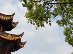 -翠湖公园