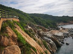 -广东惠东海龟国家级自然保护区