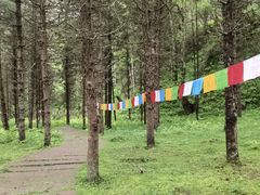 -硗碛藏寨·神木垒景区