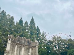 -音乐台